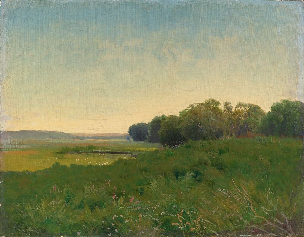 wet_meadow